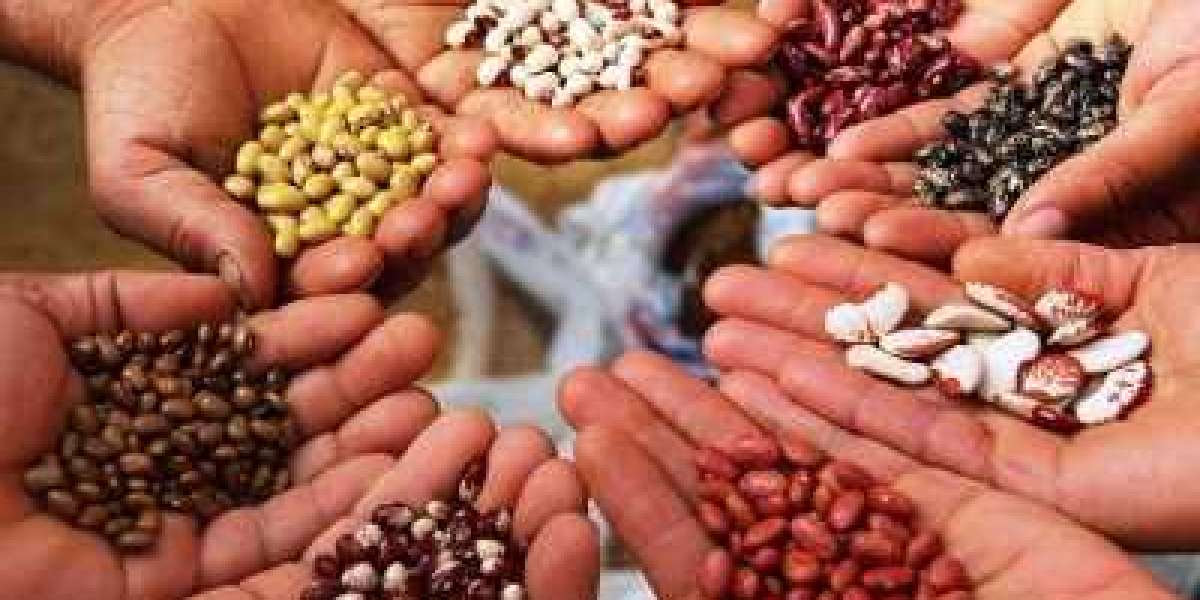 Seed Market to Hit $111.03 Million By 2030